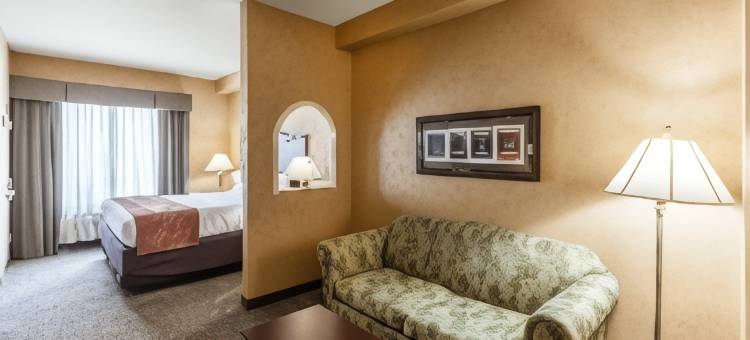 舒适套房酒店-阿拉莫/河滨步道(Comfort Suites Alamo Riverwalk)图片