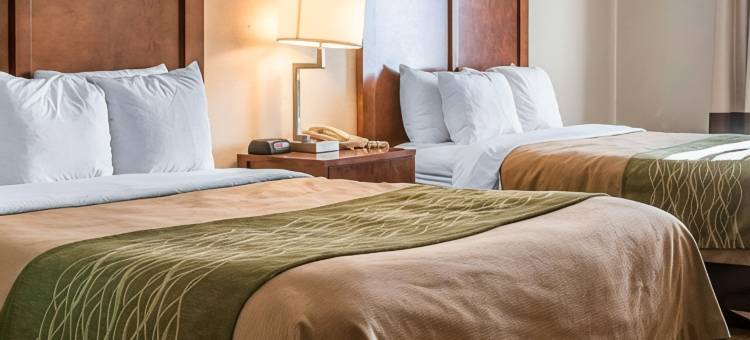 布拉夫顿套房酒店(BLUFFTON INN & SUITES by IHG)图片