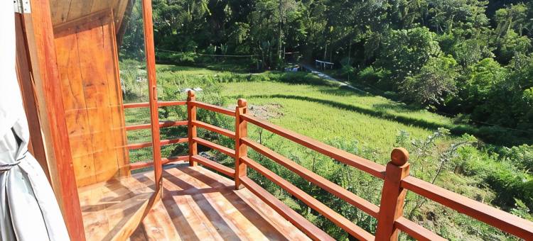 帕迪生态小屋酒店(Padi Ecolodge)图片