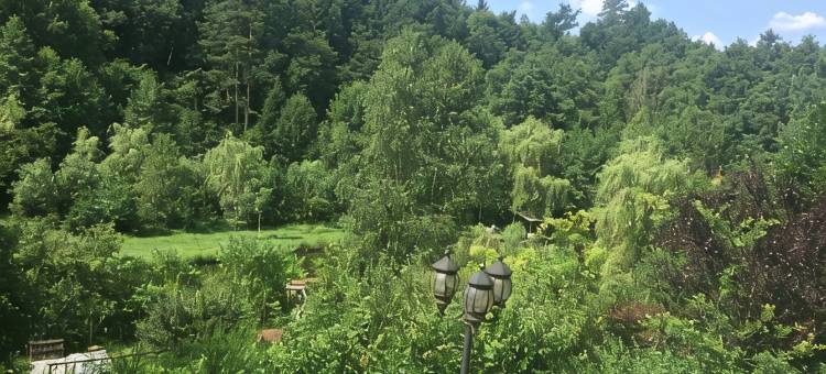 拉奇蒂小屋(La Chti Cabane)图片