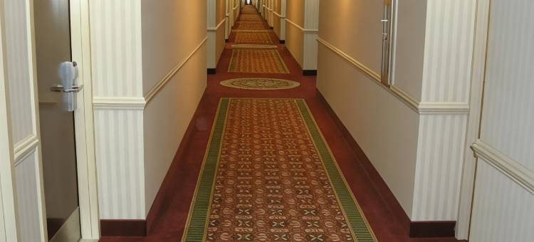 智选假日套房酒店科林斯(Holiday Inn Express & Suites Corinth)图片