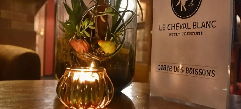 白马酒店(Le Cheval Blanc - Lac du der - Logis Hotel)图片