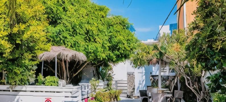 卡马雷拉公寓(KAMARELA STUDIOS)图片