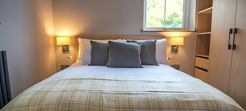 湾树公寓(Bay Tree Apartments)图片