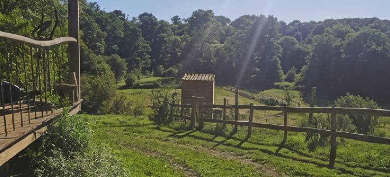 皮拉蒂埃民宿(Chambres d'hôtes de la Pilatière)图片