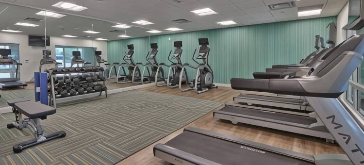 智选假日套房酒店-罗斯威尔(Holiday Inn Express & Suites Roswell)图片