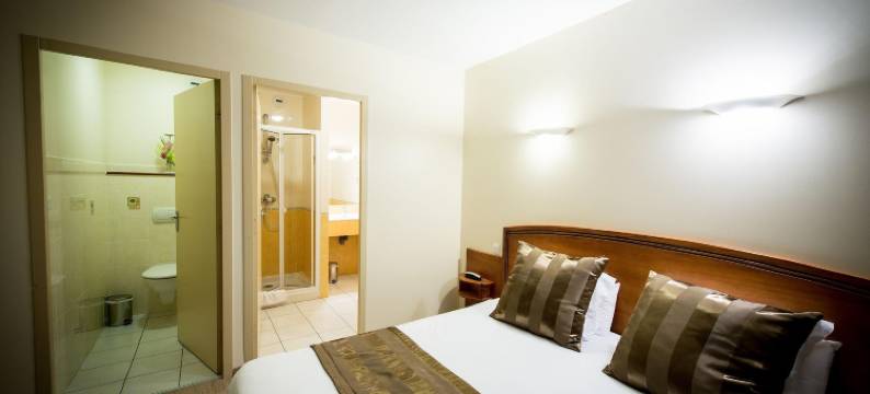 金狮酒店(Hotel le Lion d'Or)图片