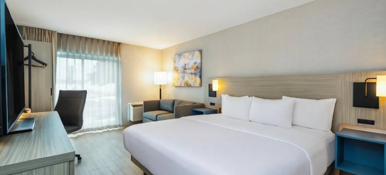 机场东部舒适酒店(Comfort Inn Airport East)图片