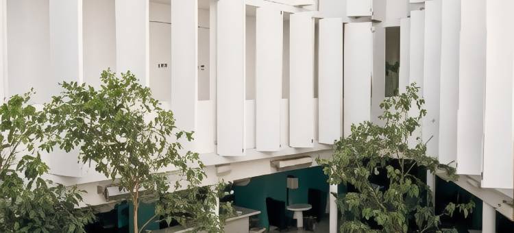 DF康德萨，Design Hotels™设计酒店成员(Condesa df, Mexico City, a Member of Design Hotels)图片