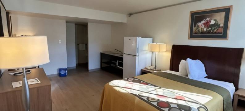 开间公寓(Studio Apartments)图片