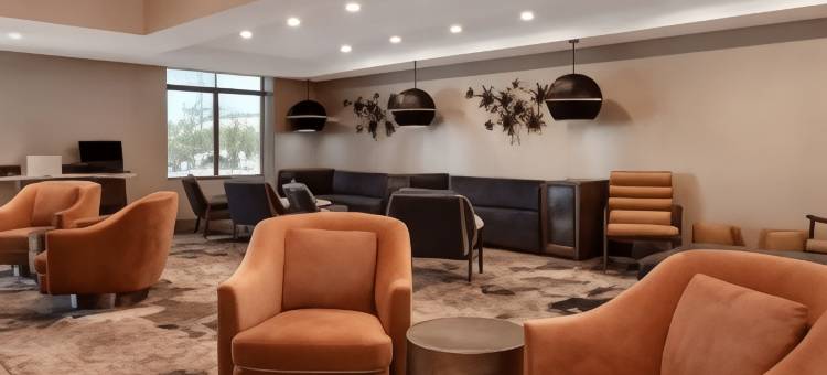 拉斯维加斯机场南万枫酒店及套房(Fairfield Inn & Suites Las Vegas Airport South)图片