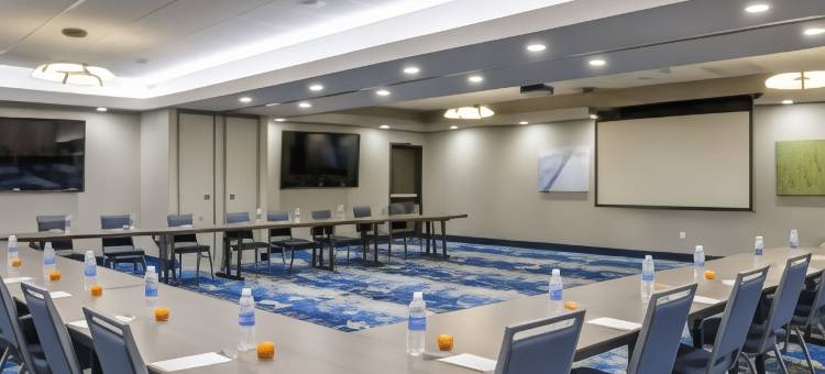 达拉斯/沃斯堡机场南欢朋套房酒店(Hampton Inn & Suites Dallas/Ft. Worth Airport South)图片