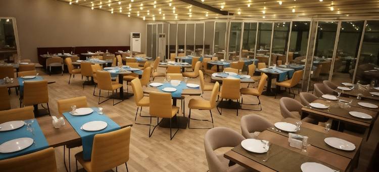 马尼萨西智选假日酒店(Holiday Inn Express Manisa - West)图片