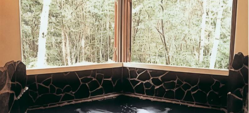 Ascot旅馆(Gasthof Ascot)图片