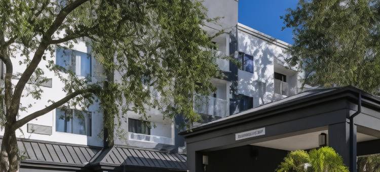 奥兰多阿尔塔蒙特斯普林斯/梅特兰万怡酒店(Courtyard Orlando Altamonte Springs/Maitland)图片