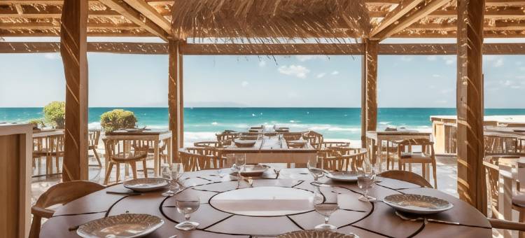 米茨斯里内拉(Mitsis Rinela)图片