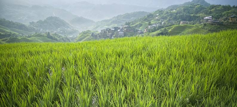 朴宿并不朴素客栈(和大线1号分店)图片