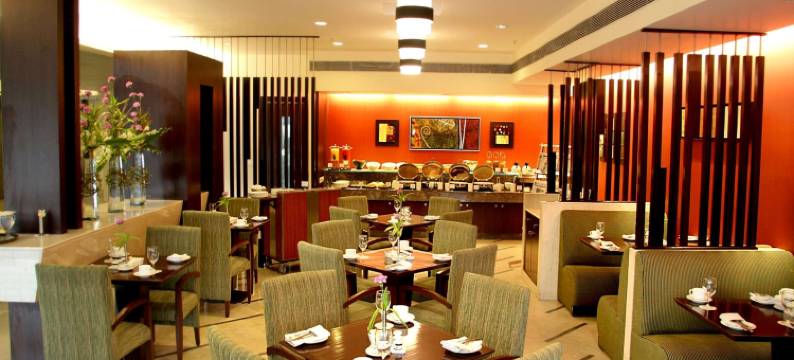 缪斯萨诺瓦门廊尼赫鲁广场酒店(Muse Sarovar Portico Nehru Place)图片