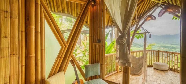 Bird Hills Bamboo House图片