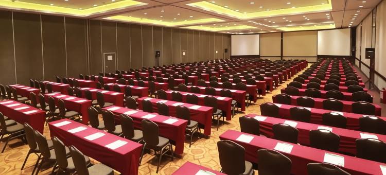 Holiday Inn 墨西哥城贸易城的中心(Holiday Inn CIUDAD DE MEXICO-TRADE CENTER by IHG)图片