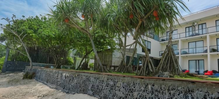 美蕊沙极乐海滩酒店(Beach & Bliss Mirissa)图片