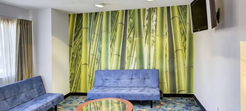 路易斯维尔 I-35 罗德威套房汽车旅馆(Rodeway Inn & Suites Lewisville I-35)图片