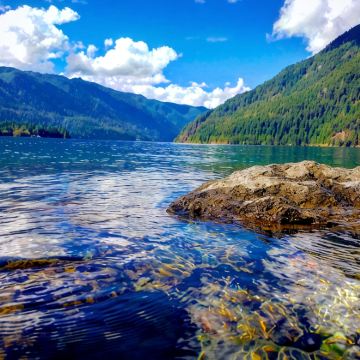 美国西雅图5日4晚私家团