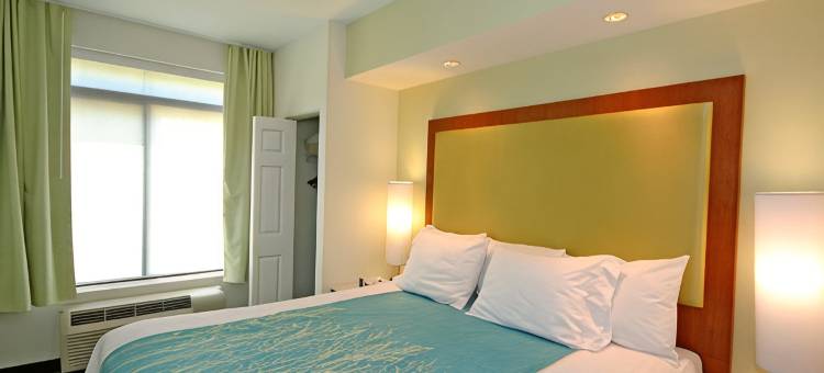 温斯顿塞勒姆哈内斯商城SpringHill Suites 酒店(SpringHill Suites Winston-Salem Hanes Mall)图片
