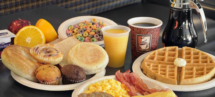 机场东部舒适酒店(Comfort Inn Airport East)图片