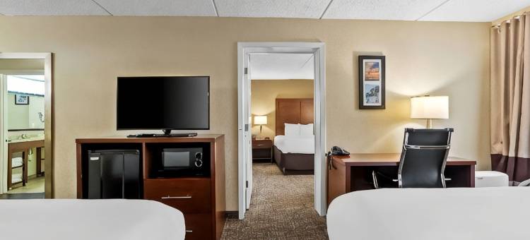 舒适套房酒店(Comfort Inn & Suites Panama City - St Andrew)图片