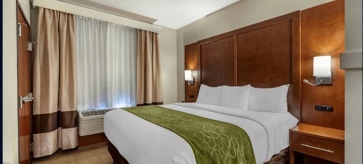 舒适套房酒店(Comfort Suites)图片