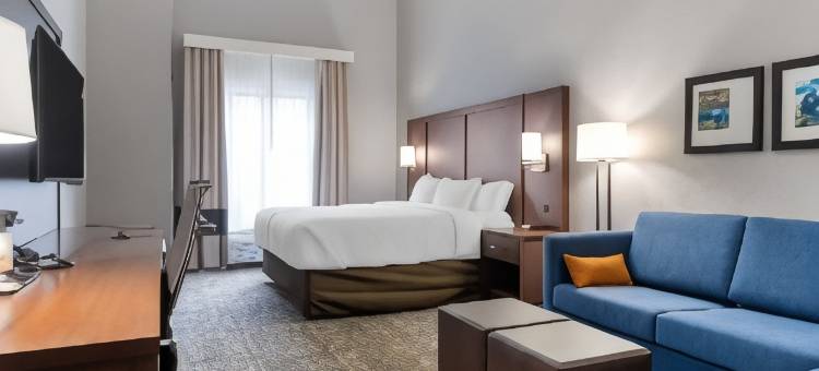 帕迪尤卡购物中心区舒适套房酒店(Comfort Suites Paducah Mall Area)图片