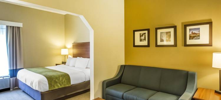 库克维尔舒适套房酒店(Comfort Suites Cookeville)图片