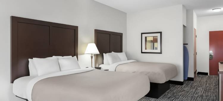 凯艺套房酒店(Quality Inn & Suites Niles)图片