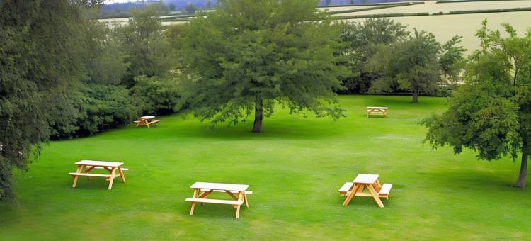 OYO 东瑟斯克白马旅馆酒店(The White Horse Lodge Hotel)图片