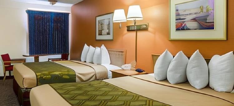 凯艺套房酒店(Quality Inn & Suites)图片