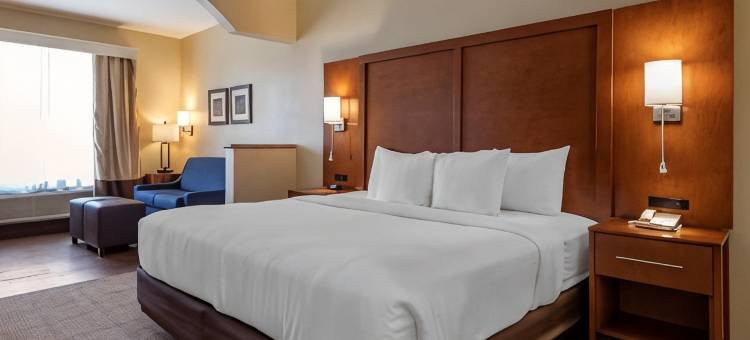 舒适套房酒店-近德克萨斯医学中心NRG体育场(Comfort Suites Near Texas Medical Center - NRG Stadium)图片