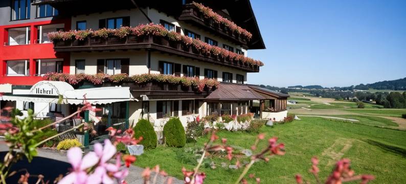 哈伯尔酒店在阿特湖(Hotel Haberl - Attersee)图片