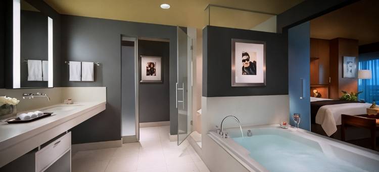 塞米诺尔硬石酒店及坦帕(Seminole Hard Rock Hotel and Casino Tampa)图片