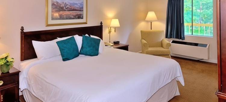 福特摩尔伊克诺旅馆及套房(Econo Lodge Inn & Suites Columbus Near Fort Benning)图片