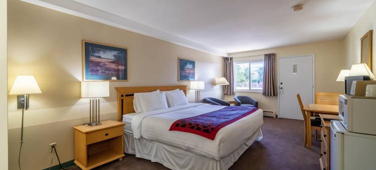 卡什溪加拿大最佳价值沙漠套房酒店(Canadas Best Value Desert Inn & Suites)图片