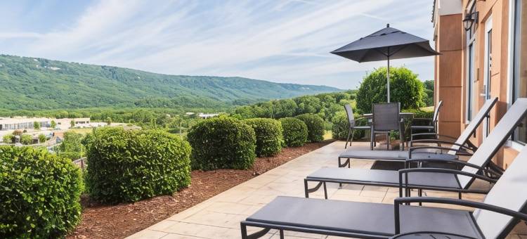 查塔努加 I-24/莱克奥特芒廷万枫酒店(Fairfield Inn & Suites Chattanooga I-24/Lookout Mountain)图片