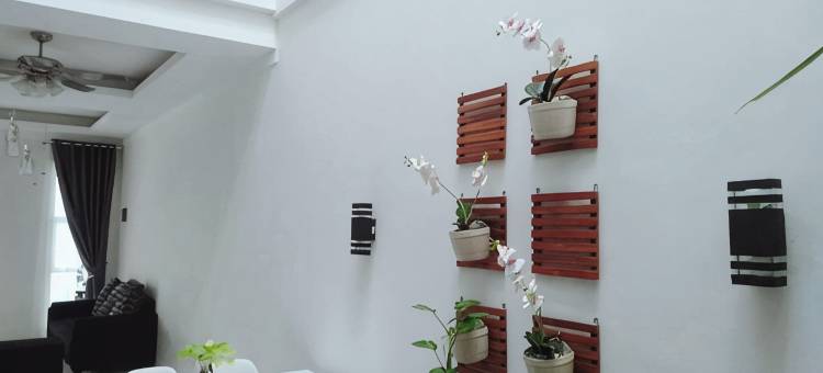 奥马保兰旅馆(Omah Paulan Guest House)图片