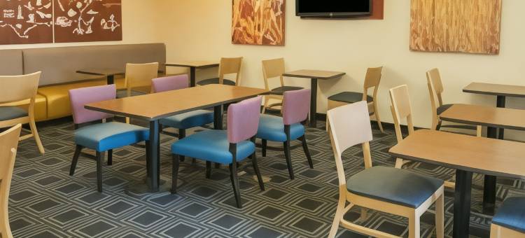 巴吞鲁日冈萨雷斯万豪TownePlace套房酒店(TownePlace Suites Baton Rouge Gonzales)图片