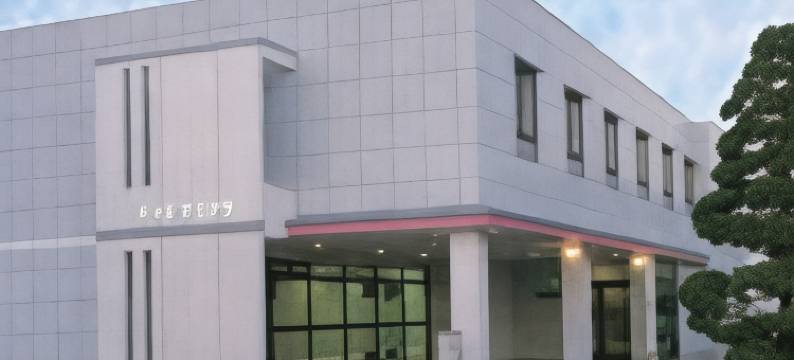 柴田屋酒店(Hotel Shibataya)图片