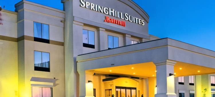 阿德莫尔万豪SpringHill Suites 酒店(SpringHill Suites Ardmore)图片