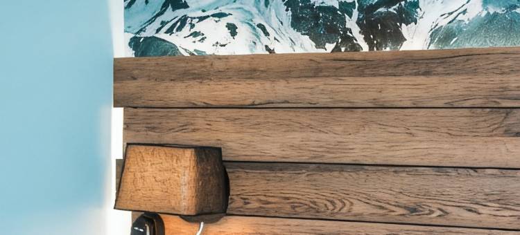 宜必思尚品萨朗什勃朗峰地区酒店(Ibis Styles Sallanches Pays du Mont-Blanc)图片