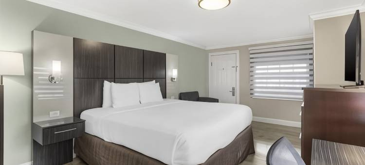 海湾站贝斯特韦斯特酒店(Best Western Bayfront)图片