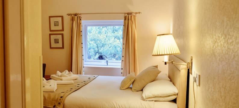 Tyn-y-Coed酒店(Tyn-y-Coed Inn)图片