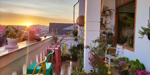 Strawberry Hotel Da Lat